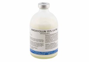 Amoxycillin 15% La Inj