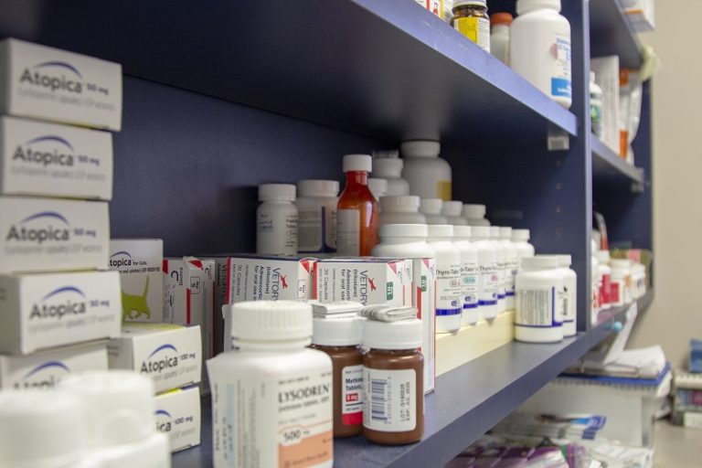 The trade of veterinary materials & equipments in burundi